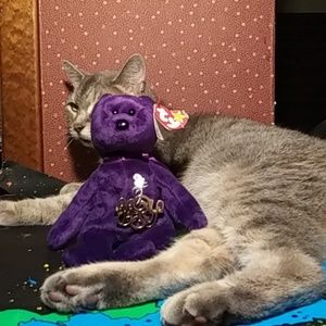 Princess Diana Beanie Baby with Gold Pin